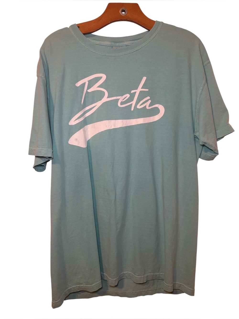 Comfort Colors Beta Theta Pi Fraternity Script Graphic Tshirt Size Large EUC